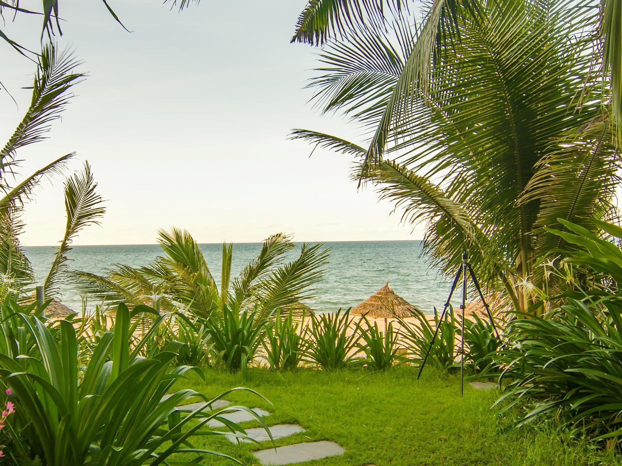 Tan Thanh Garden Homestay Hoi An Dış mekan fotoğraf
